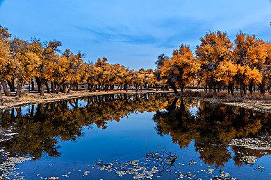 《明日潮汐》公布预告片 沿着他人设定的路径前行